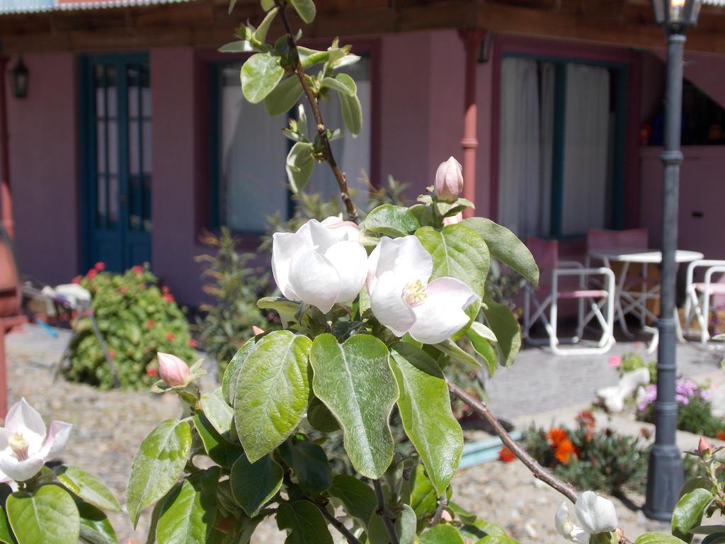 Posada Caracoles Puerto Pirámides Kültér fotó