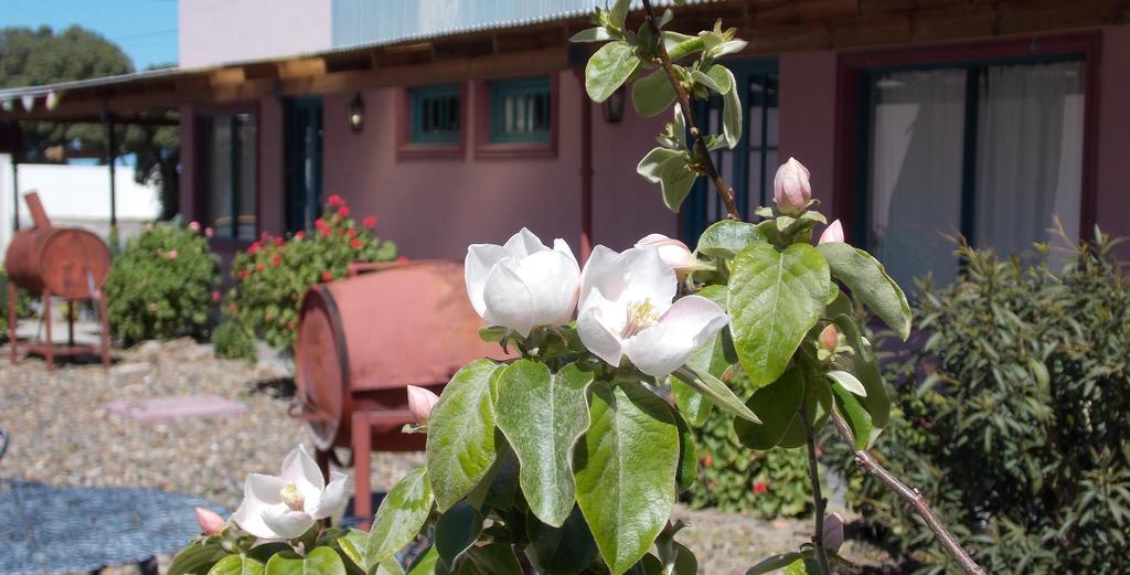 Posada Caracoles Puerto Pirámides Szoba fotó